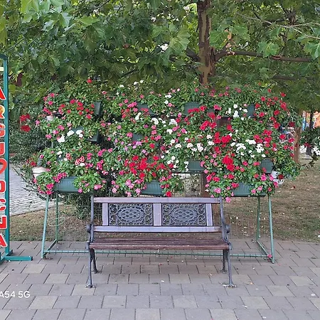 Apartament Central